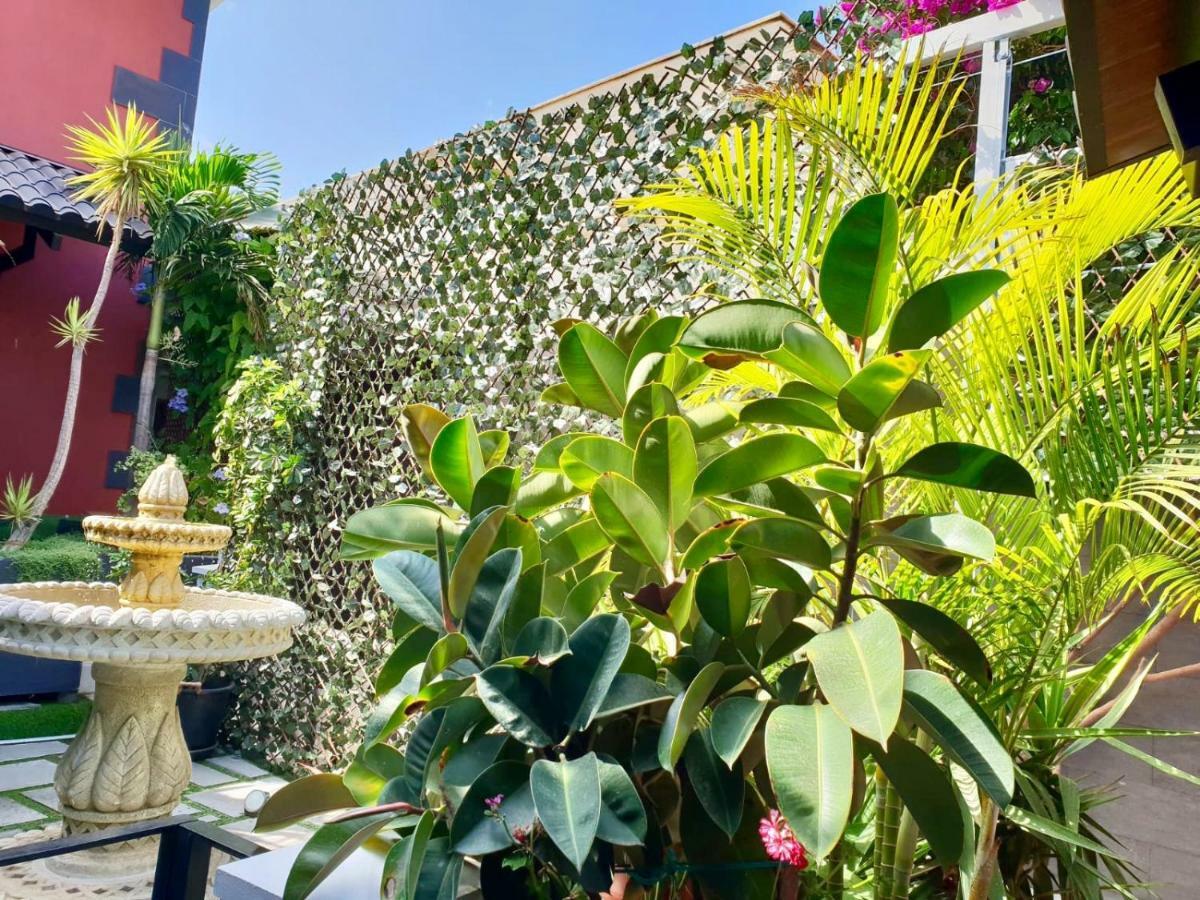 Casa Roque Aguayro Villa Agüimes Kültér fotó